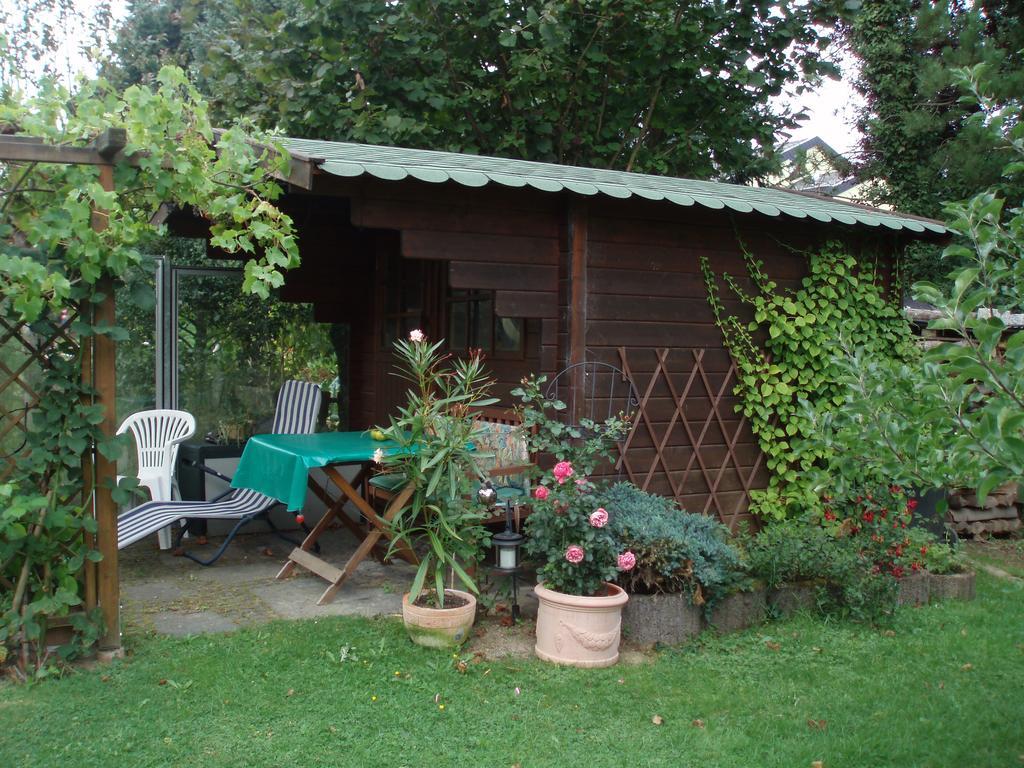 Ferienwohnung Anna Scheid كيلبيرغ المظهر الخارجي الصورة